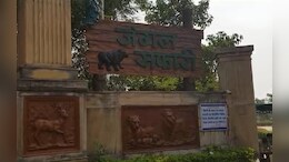 रायपुर में नंदनवन जंगल सफारी में अब तक हो चुके हैं 17 चौसिंगा की मौत, पशु चिकित्सक छुट्टी पर