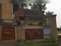 रायपुर में नंदनवन जंगल सफारी में अब तक हो चुके हैं 17 चौसिंगा की मौत, पशु चिकित्सक छुट्टी पर