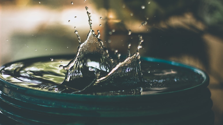 As Cities Report Spike In Summer Ailments, Doctors Share 5 Ways To Stay Safe From Contaminated Water
