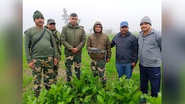 Border Forces Recover China-Made Drone In Punjab's Tarn Taran