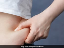 Loose Love Handles Without Running And Cardio: Expert Share Tips