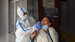 India Reported 145 Cases Of Covid Subvariant JN.1 Till December 28: Report