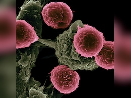 Vibrating Molecules in Lab Experiment Wipe Out 99% Of Cancer Cells Vibrating Molecules in Lab Experiment Wipe Out 99% Of Cancer Cells