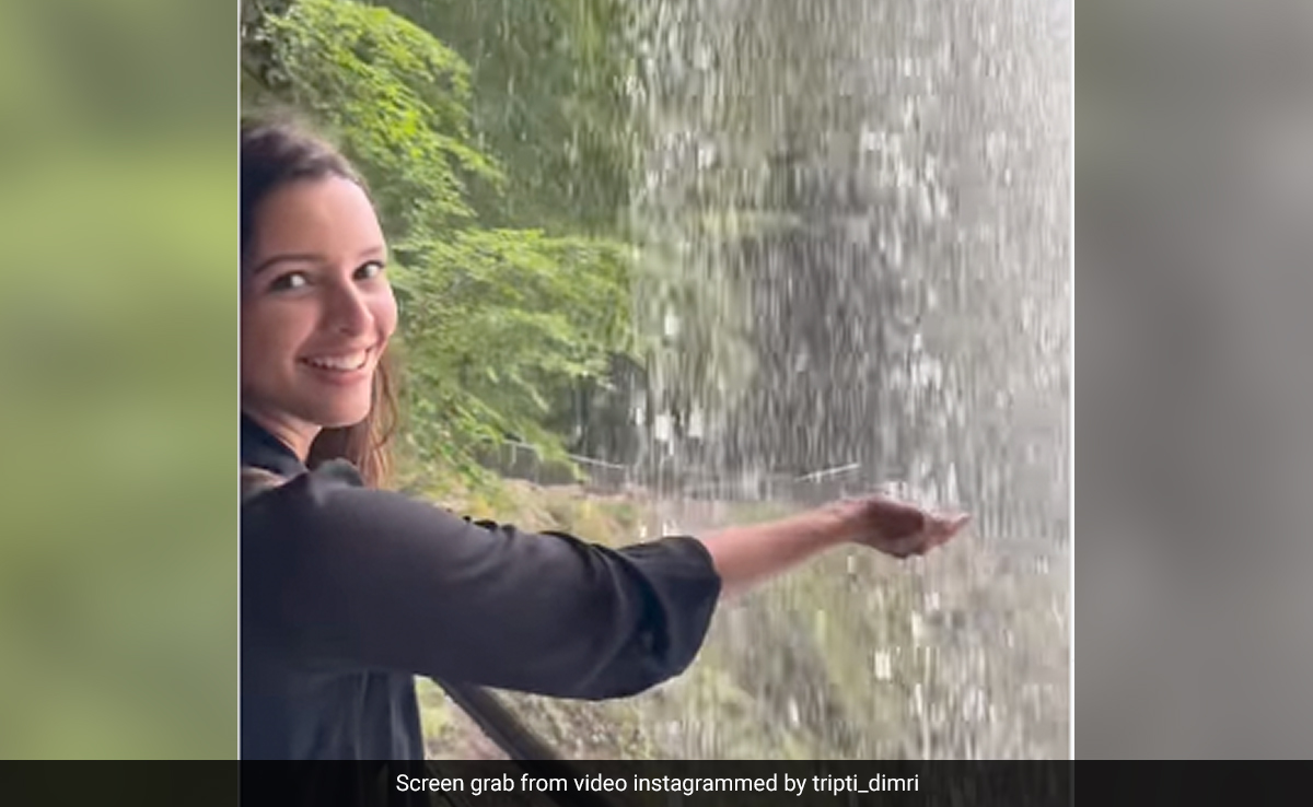 On Triptii Dimri's Holiday Post, A Comment From Rumoured Boyfriend Sam Merchant