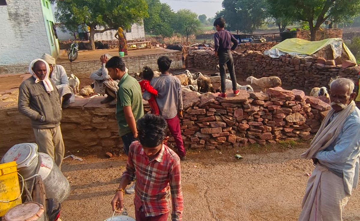 धौलपुर में पैंथर का आंतक, गांव में घुसकर किया 40 भेंड़ों का शिकार, ग्रामीणों में हड़कंप