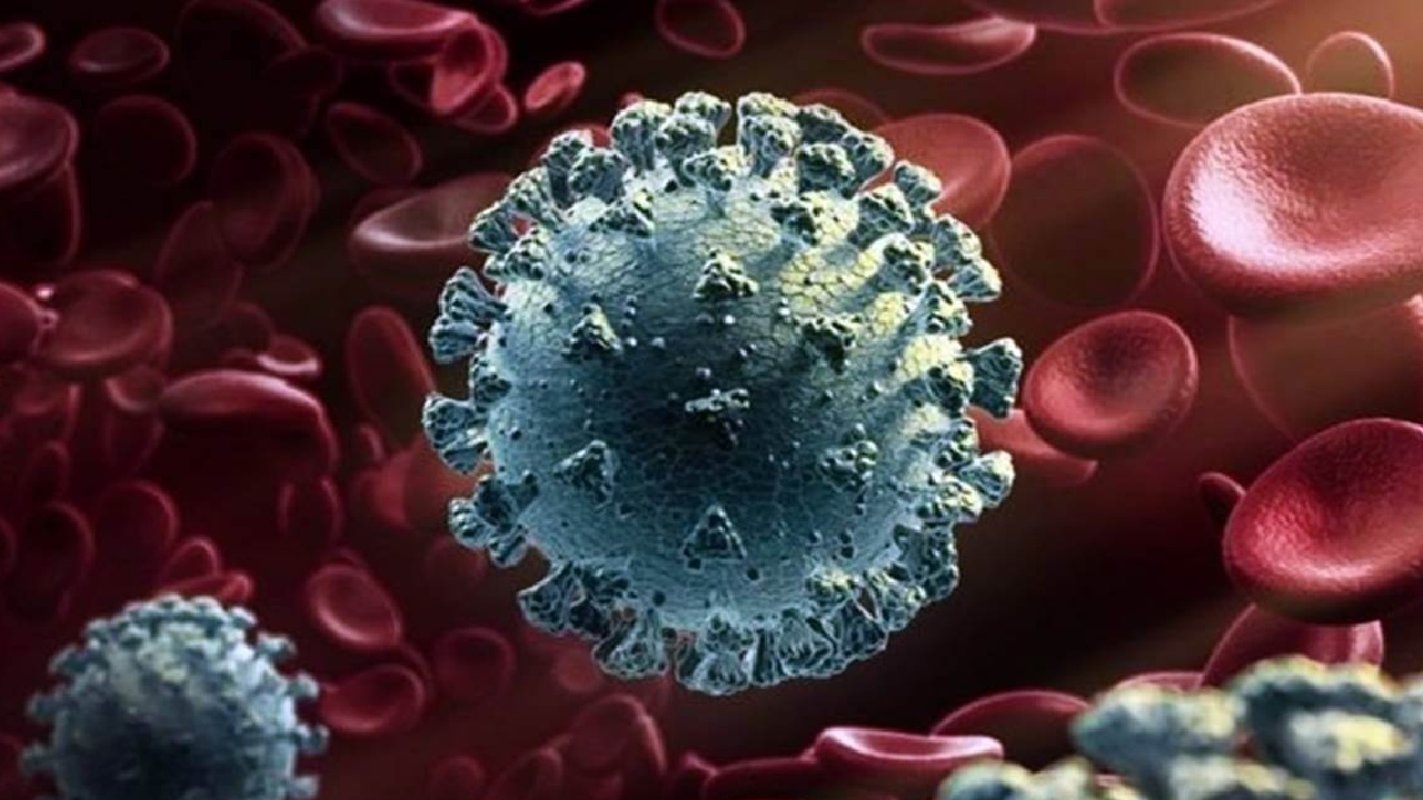 कितना खतरनाक है कोरोना का नया वेरिएंट JN.1, कैसे बचें?