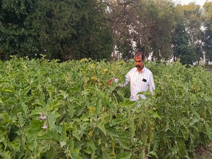 Positive News : छत्तीसगढ़ का ये किसान 135 एकड़ में करता है ऑर्गेनिक खेती, हस्तियां खाती हैं इनका चावल