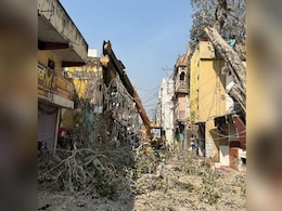 छत्तीसगढ़ : डेढ़ सौ साल पुराना पेड़ बिना इजाजत के काटा, करीब 200 पक्षियों की मौत छत्तीसगढ़ : डेढ़ सौ साल पुराना पेड़ बिना इजाजत के काटा, करीब 200 पक्षियों की मौत