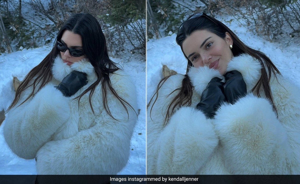 Kendall Jenner's Winter Style Is All About Opulent Charm In A Fur Coat And Trendy Sunglasses