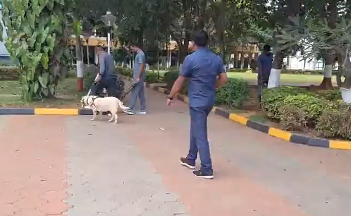 Video: Sniffer Dogs, Bomb Squads At Schools In Bengaluru After Threat Mail