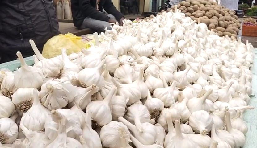 How Madhya Pradesh Farmers Are Safeguarding Garlic In Fields Amid High Prices
