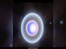 NASA Shares Images Of Uranus' Glowing Rings, "Faint And Diffuse" Feature NASA Shares Images Of Uranus' Glowing Rings, "Faint And Diffuse" Feature