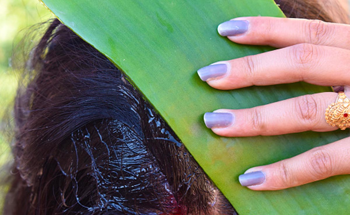 एलोवेरा जैल में ये 6 चीजें मिलाकर लगा सकते हैं बालों पर, बाल लंबे, घने, मुलायम, डैंड्रफ फ्री और शाइनी बनते हैं 