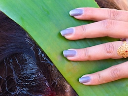 एलोवेरा को बालों पर लगाने का सही तरीका क्या है, ऐसे करेंगी अप्लाई तो लंबी होने लगेंगी लटें 