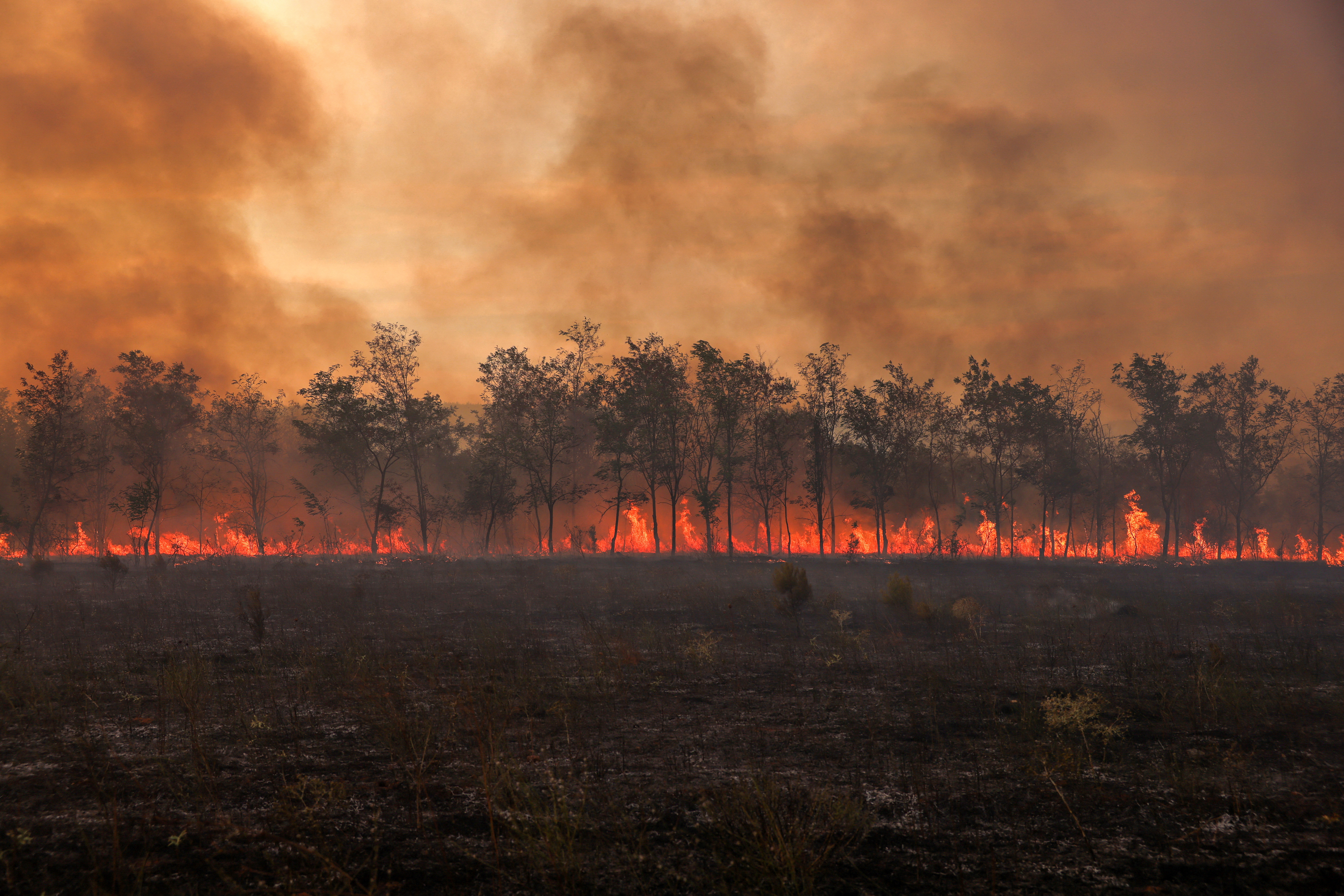 2023, Hottest Year On Record, Highlights Humanity's Failures, Says Scientist