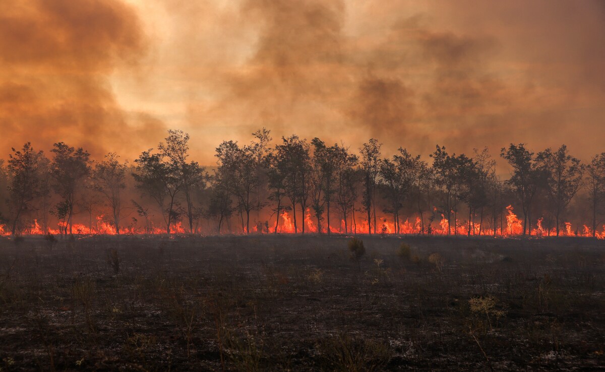 Latest and Breaking News on NDTV Latest and Breaking News on NDTV