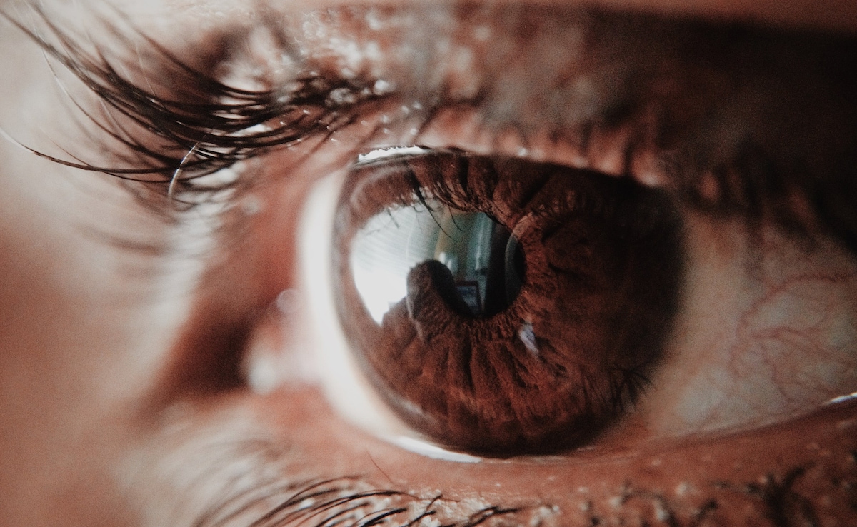 Latest and Breaking News on NDTV Latest and Breaking News on NDTV