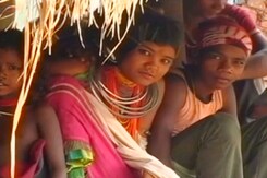 छत्तीसगढ़ में आदिवासी ने दिया बीजेपी का साथ, काम आई पीएम मोदी की रणनीति छत्तीसगढ़ में आदिवासी ने दिया बीजेपी का साथ, काम आई पीएम मोदी की रणनीति