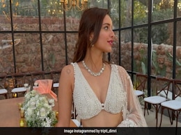<i>Animal</i> Star Triptii Dimri Lit Up A Wedding Like This <i>Animal</i> Star Triptii Dimri Lit Up A Wedding Like This