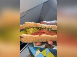 Passenger Finds Worm In Sandwich Served By IndiGo, Airline Issues Apology Statement Passenger Finds Worm In Sandwich Served By IndiGo, Airline Issues Apology Statement