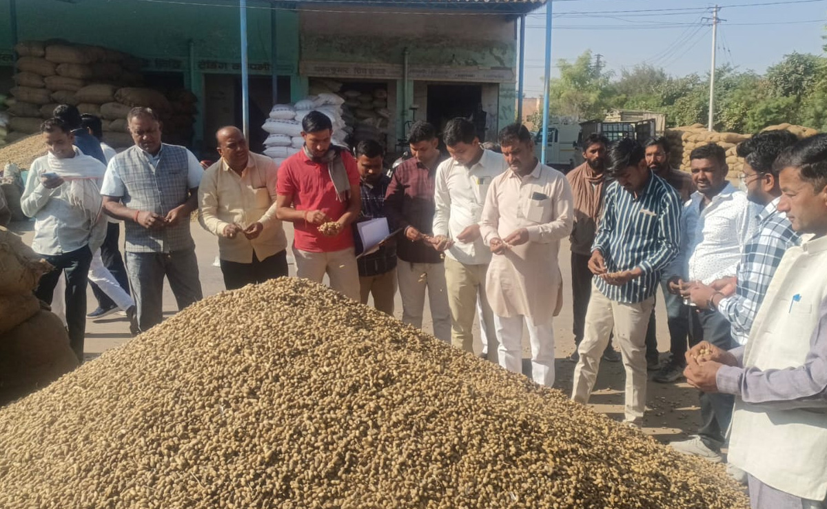 Rajasthan: ना गिरदावरी निकल रही, न ही MSP के लिए हो रहा रजिस्ट्रेशन, राजस्व विभाग के नए App से किसान परेशान