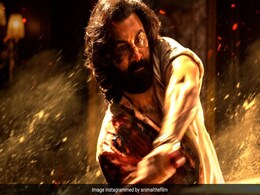 Animal Box Office Collection Day 11: एनिमल की आंधी का रुकने का नहीं है नाम, 11 दिनों में कर चुकी है रणबीर कपूर की फिल्म इतनी कमाई Animal Box Office Collection Day 11: एनिमल की आंधी का रुकने का नहीं है नाम, 11 दिनों में कर चुकी है रणबीर कपूर की फिल्म इतनी कमाई