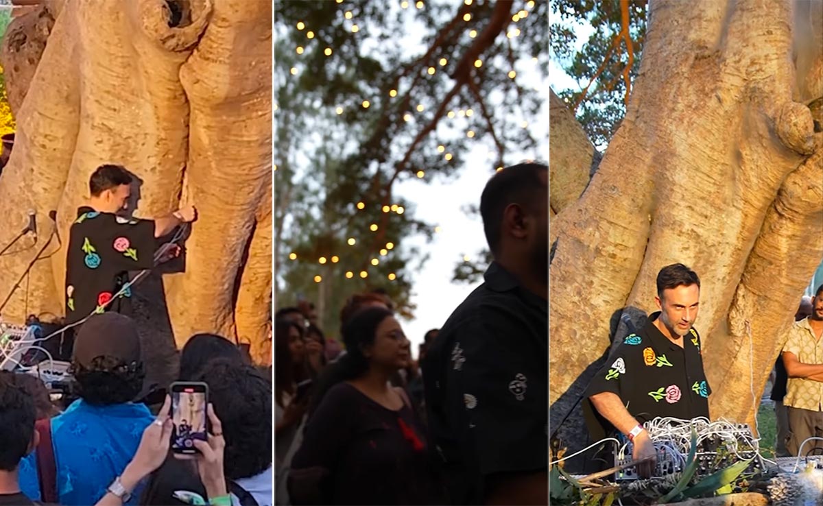 पेड़ बना डीजे, तार छूते ही फूट पड़ा म्यूजिक, झूमते नजर आए लोग, कुदरत के इस करिश्मे को क्या आपने किया महसूस