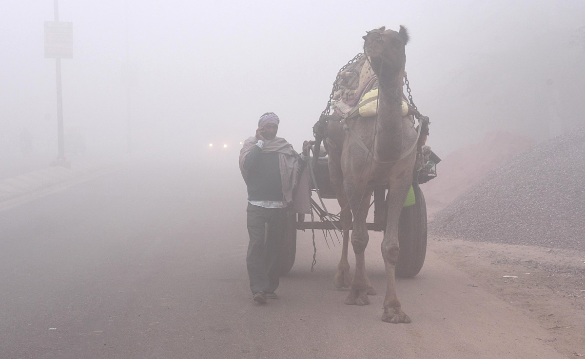 Rajasthan Weather Update: अचानक बदले मौसम के मिजाज से ठिठुरने लगा राजस्थान, फतेहपुर में 3.5 डिग्री के नीचे लुढ़का पारा