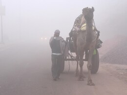 Rajasthan Weather Today: राजस्थान के इन शहरों में पड़ रही कड़ाके की ठंड, कहीं 5 तो कहीं -1 डिग्री पर पहुंचा तापमान Rajasthan Weather Today: राजस्थान के इन शहरों में पड़ रही कड़ाके की ठंड, कहीं 5 तो कहीं -1 डिग्री पर पहुंचा तापमान