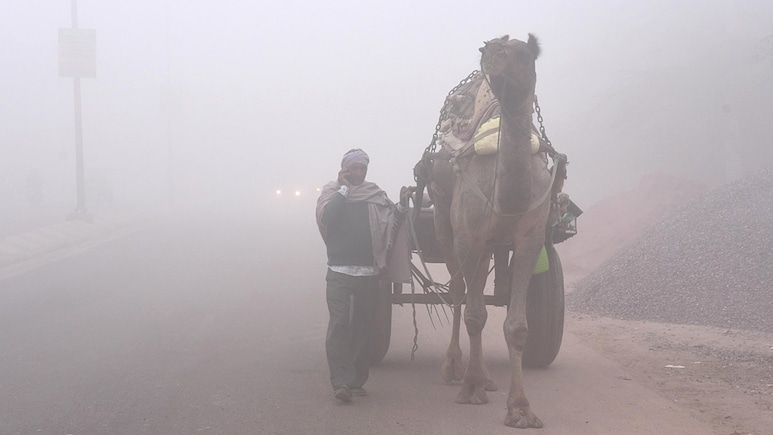 Rajasthan weather update: राजस्थान में सर्दी का प्रकोप जारी, डूंगरपुर में पारा 5.4 डिग्री; गंभीर स्तर पर AQI