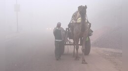 Weather of Today: राजस्थान में 11 जनवरी तक ठंड रहेगी बरकरार, ओस और गलन ने बढ़ाई परेशानी