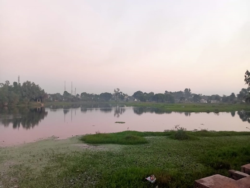 CG News : धूल चाट रही है सरोवर हमारी धरोहर योजना,&nbsp;17 एकड़ का तालाब जलकुंभी और गंदगी से लबालब