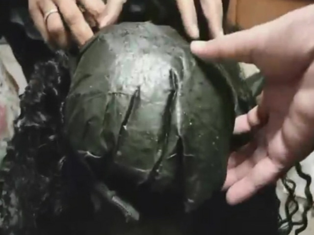 Uganda Woman Caught At Mumbai Airport With Cocaine Worth Rs 8 Crore