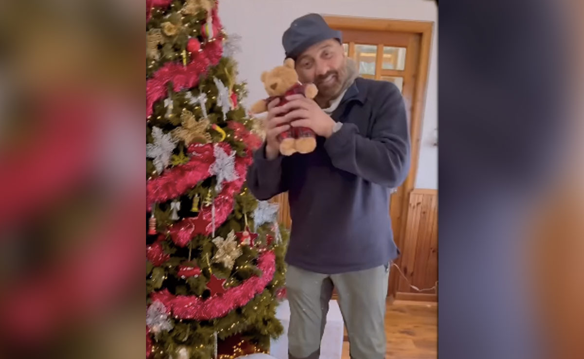 Watch: Sunny Deol Recreates Brother Bobby Deol's <i>Animal</i> Song <i>Jamal Kudu</i> With A Teddy Bear