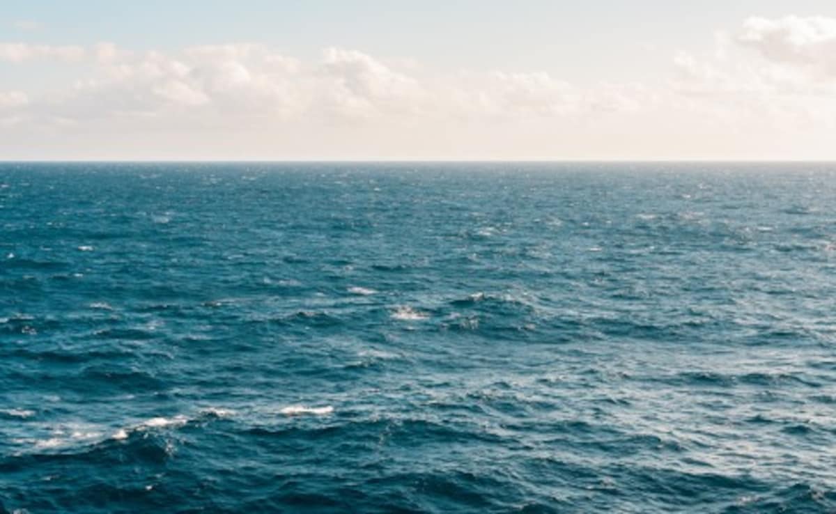 Add image caption here