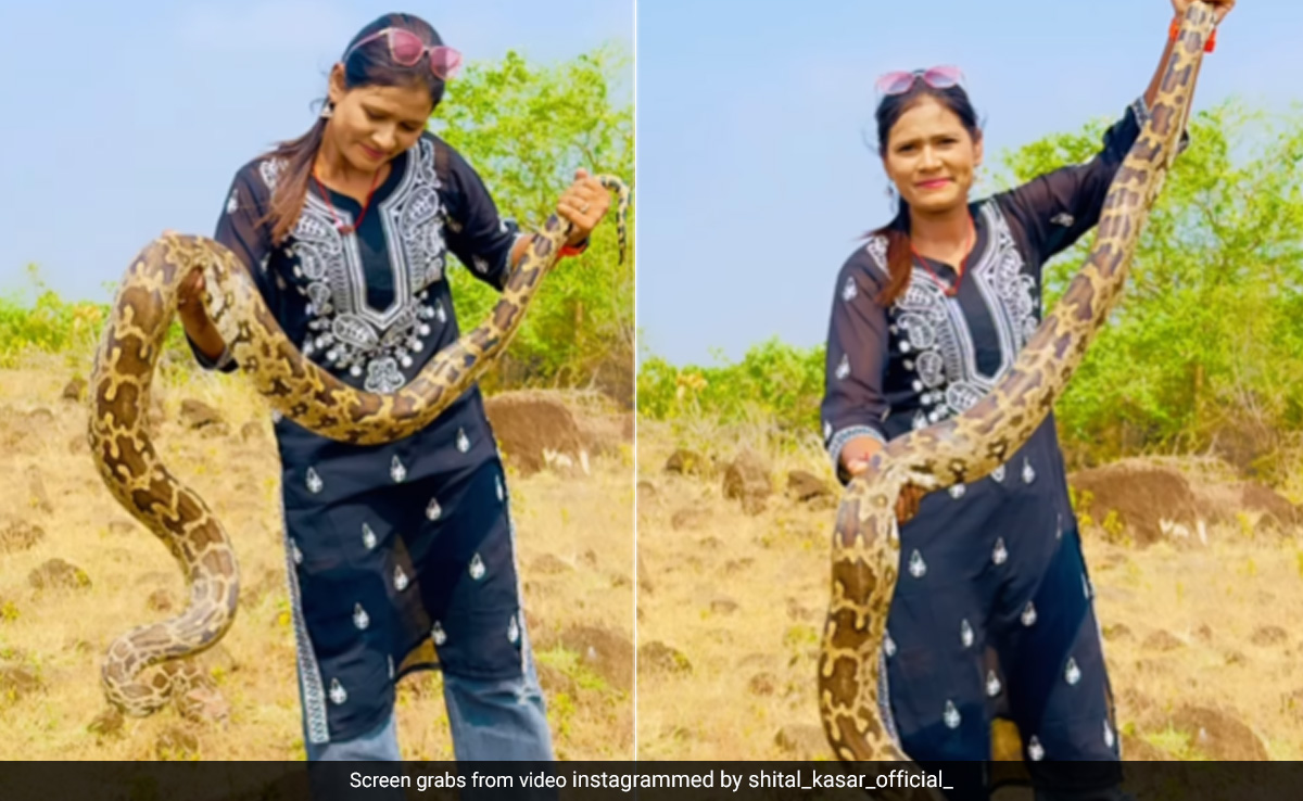 विशालकाय अजगर को हाथ में लेकर खिलौने की तरह खेलती दिखी महिला, Video देख खड़े हो जाएंगे रोंगटे