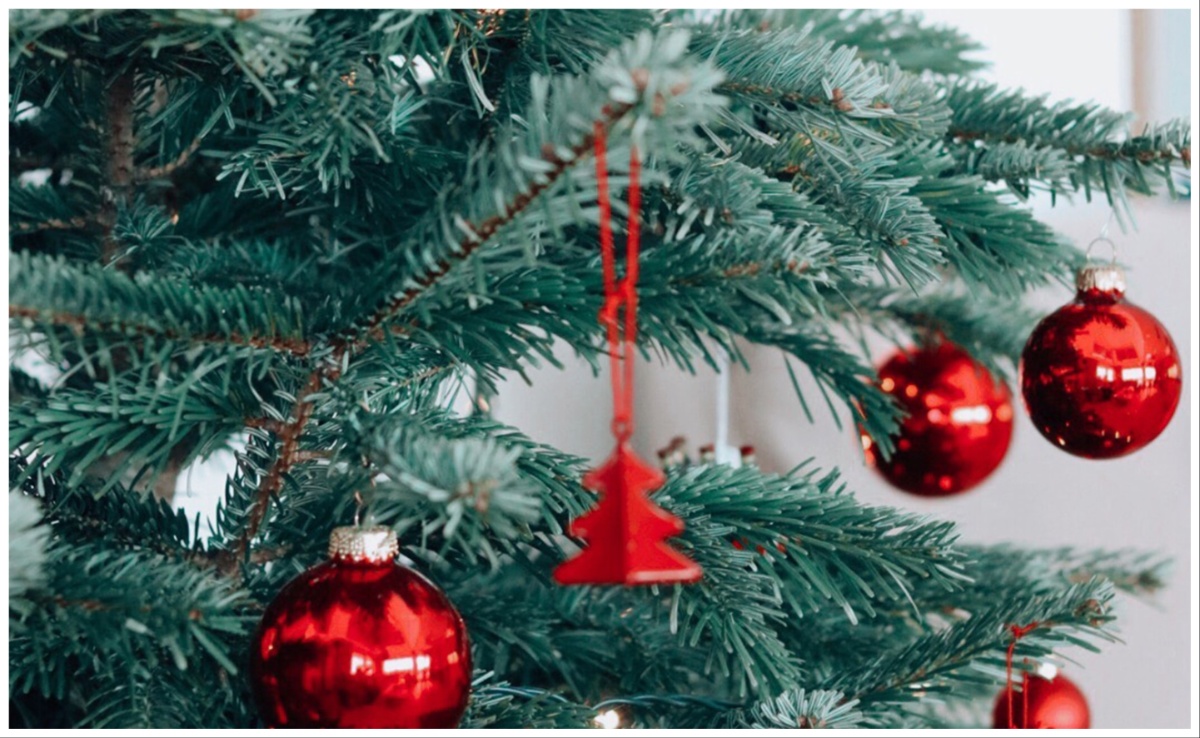 US Woman Arrested For Beating Boyfriend With Christmas Tree During Argument