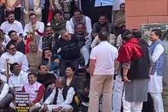 MP Mimics Vice President At Protest MP Mimics Vice President At Protest