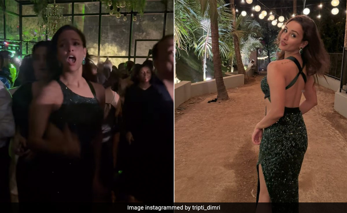 Viral: Triptii Dimri Dances To <i>Animal</i> Co-Star Ranbir Kapoor's Song <i>Ghagra</i>