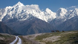 Heading To A Hill Station This Winter? Here's How To Beat The Cold!