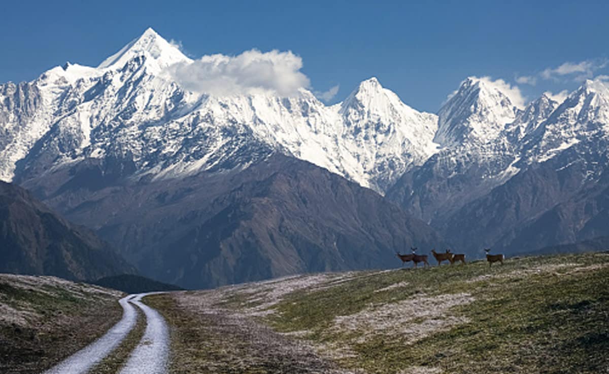 Latest and Breaking News on NDTV