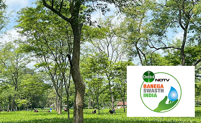 Year 2023: World Famous Assam Tea Is Losing Its Flavour And Yield To Climate Change
