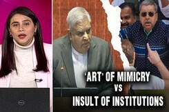 'Art' Of Mimicry Vs Insult Of Institutions 'Art' Of Mimicry Vs Insult Of Institutions