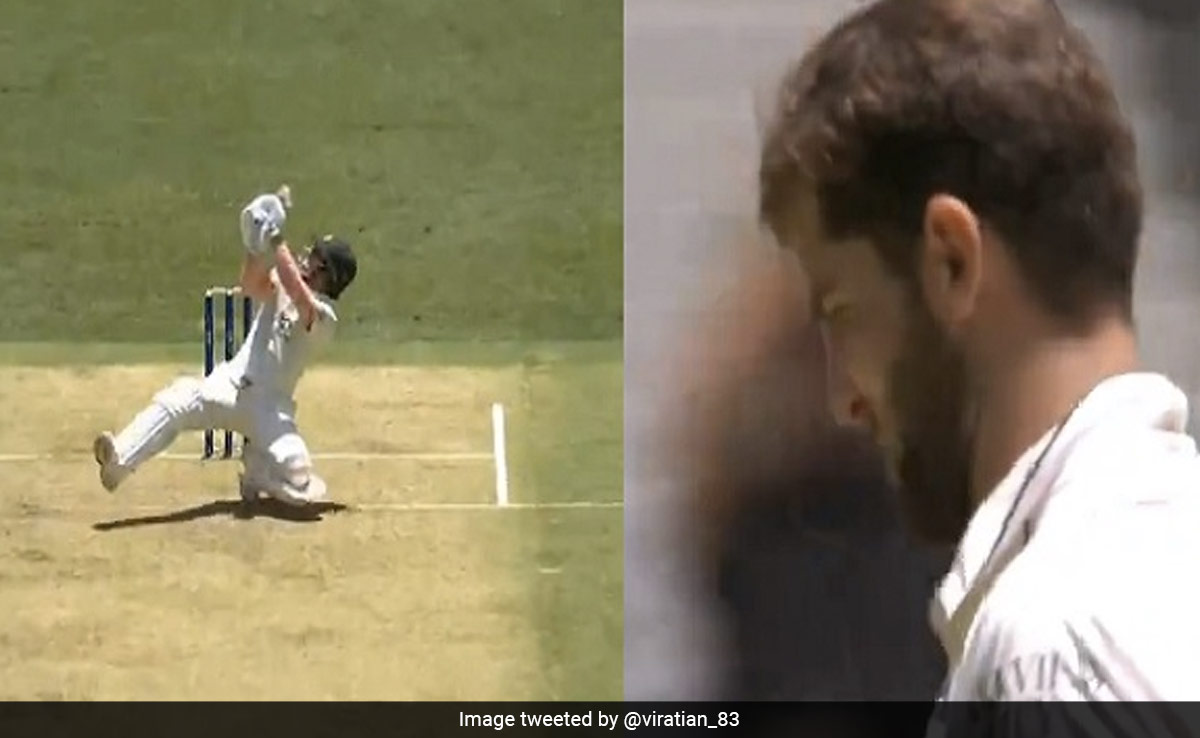 'पागलपन है यह', शाहीन अफरीदी की गेंद पर डेविड वॉर्नर ने बैठकर लगाया चौंकाने वाला छक्का, गेंदबाज के भी उड़े होश, Video