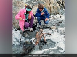 मिस्त्र में नहीं, बल्कि पहाड़ों में मिली है ये अनोखी ममी, 5000 साल बाद भी है जैसी की तैसी मिस्त्र में नहीं, बल्कि पहाड़ों में मिली है ये अनोखी ममी, 5000 साल बाद भी है जैसी की तैसी