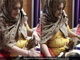 कुत्ते को घरवालों से पड़ी डांट, तो दादी ने गोद में बैठाकर खूब किया दुलार, Cute Video देख आपको भी हो जाएगा प्यार कुत्ते को घरवालों से पड़ी डांट, तो दादी ने गोद में बैठाकर खूब किया दुलार, Cute Video देख आपको भी हो जाएगा प्यार
