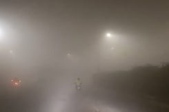 Dense Fog Engulfs Delhi, Parts Of North India, Trains, Flights Hit Dense Fog Engulfs Delhi, Parts Of North India, Trains, Flights Hit