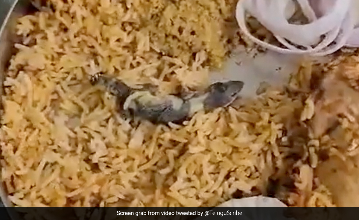 मंगवाई थी चिकन बिरयानी, अंदर निकल आई मरी हुई छिपकली, देखें वीडियो