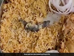 मंगवाई थी चिकन बिरयानी, अंदर निकल आई मरी हुई छिपकली, देखें वीडियो मंगवाई थी चिकन बिरयानी, अंदर निकल आई मरी हुई छिपकली, देखें वीडियो