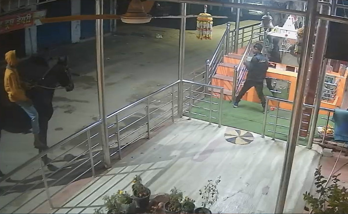 Video: Two Men On Horse Try To Steal Temple Donation Box, What Happened Next